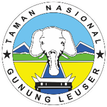 Mt. Leuser National Park